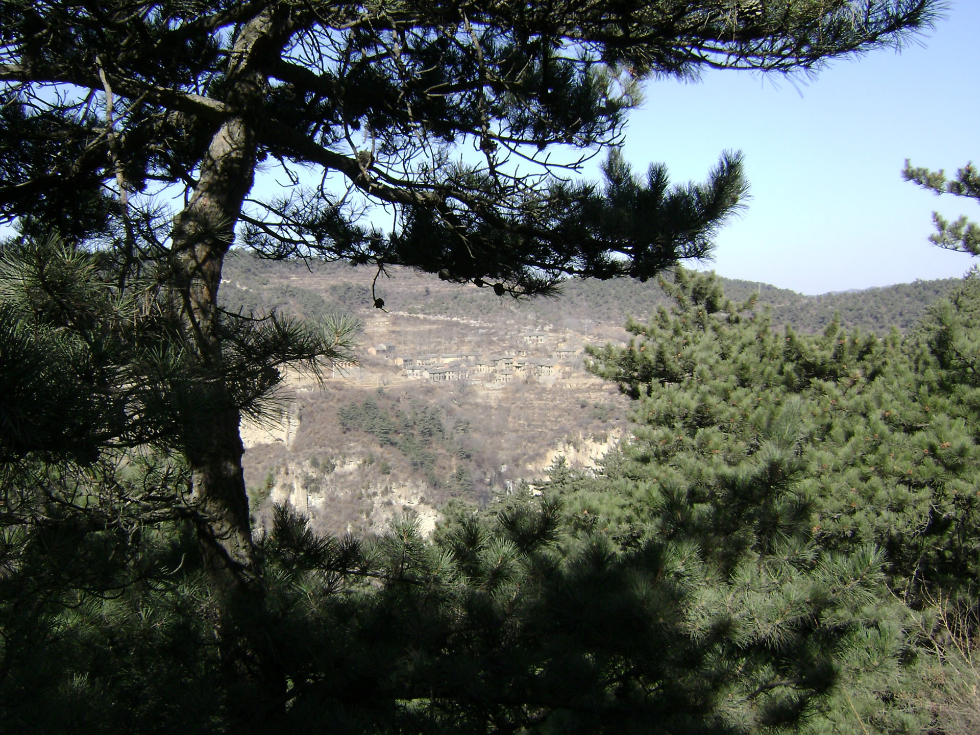 紫团山风景